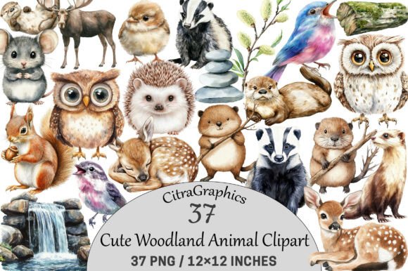 Bringing Nature Indoors with Cute Woodland Animal Clipart
